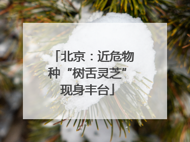 北京：近危物种“树舌灵芝”现身丰台
