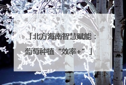 北方海南智慧赋能：葡萄种植“效率+”