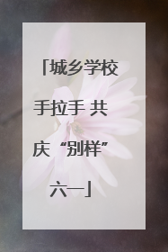 城乡学校手拉手 共庆“别样”六一