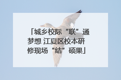 城乡校际“联”通梦想 江夏区校本研修现场“结”硕果