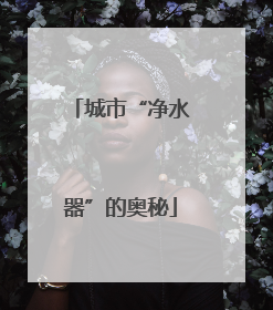 城市“净水器”的奥秘