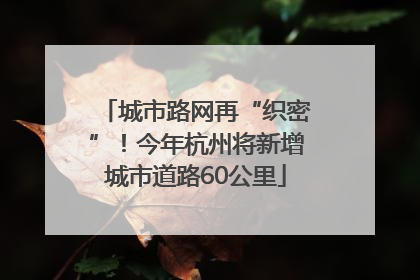 城市路网再“织密”！今年杭州将新增城市道路60公里