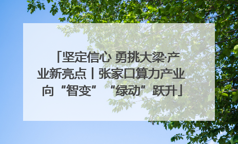 坚定信心 勇挑大梁·产业新亮点丨张家口算力产业向“智变”“绿动”跃升