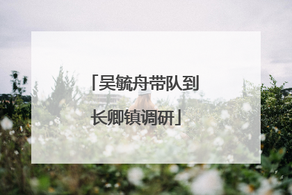 吴毓舟带队到长卿镇调研