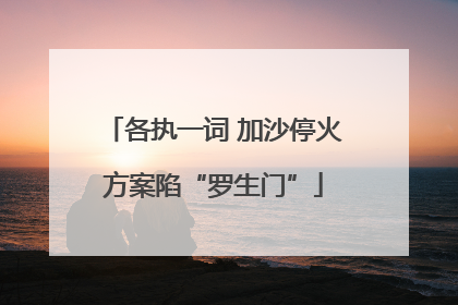 各执一词 加沙停火方案陷“罗生门”