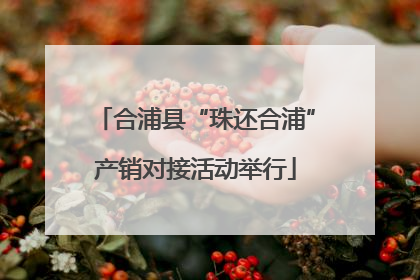 合浦县“珠还合浦”产销对接活动举行