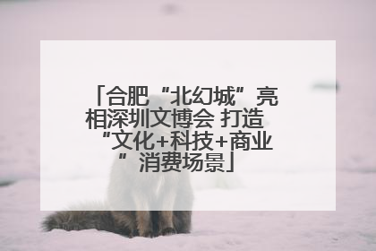 合肥“北幻城”亮相深圳文博会 打造“文化+科技+商业”消费场景