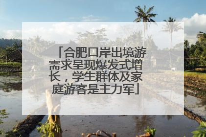 合肥口岸出境游需求呈现爆发式增长，学生群体及家庭游客是主力军