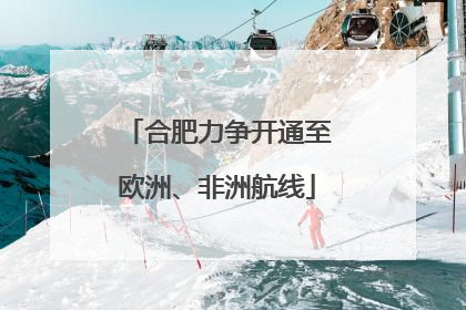 合肥力争开通至欧洲、非洲航线