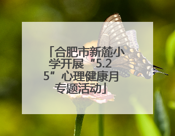 合肥市新麓小学开展“5.25”心理健康月专题活动