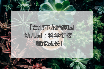 合肥市龙腾家园幼儿园：科学衔接 赋能成长