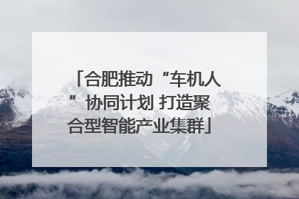 合肥推动“车机人”协同计划 打造聚合型智能产业集群