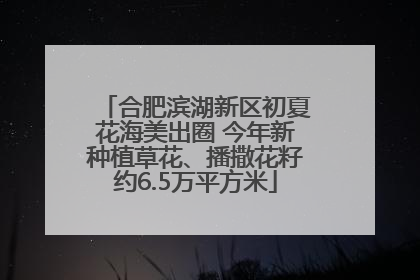 合肥滨湖新区初夏花海美出圈 今年新种植草花、播撒花籽约6.5万平方米