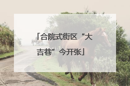 合院式街区“大吉巷”今开张
