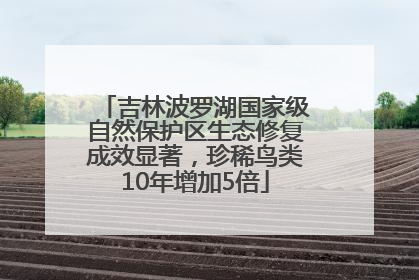 吉林波罗湖国家级自然保护区生态修复成效显著，珍稀鸟类10年增加5倍