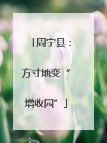 周宁县：方寸地变“增收园”