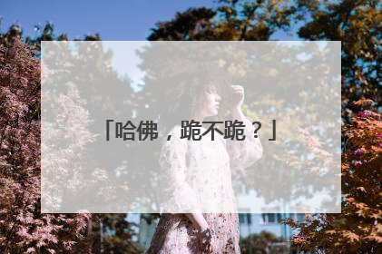 哈佛，跪不跪？