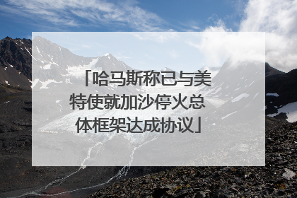 哈马斯称已与美特使就加沙停火总体框架达成协议