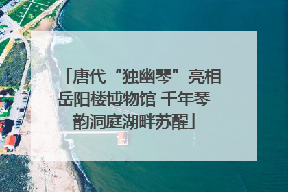 唐代“独幽琴”亮相岳阳楼博物馆 千年琴韵洞庭湖畔苏醒