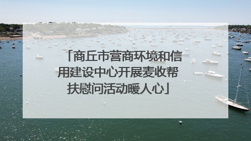 商丘市营商环境和信用建设中心开展麦收帮扶慰问活动暖人心