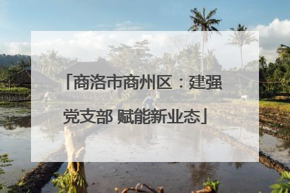 商洛市商州区：建强党支部 赋能新业态