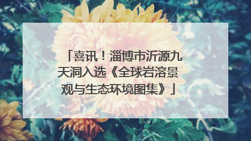 喜讯！淄博市沂源九天洞入选《全球岩溶景观与生态环境图集》