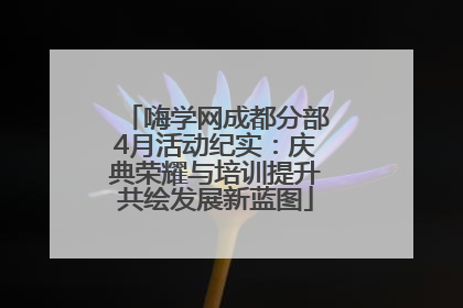 嗨学网成都分部4月活动纪实：庆典荣耀与培训提升共绘发展新蓝图