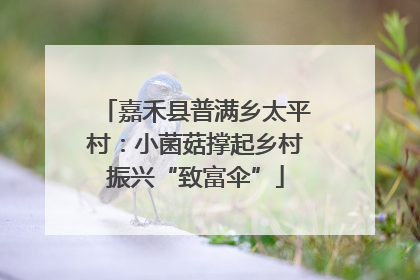 嘉禾县普满乡太平村：小菌菇撑起乡村振兴“致富伞”