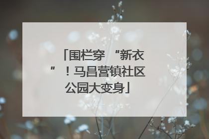 围栏穿 “新衣”！马昌营镇社区公园大变身