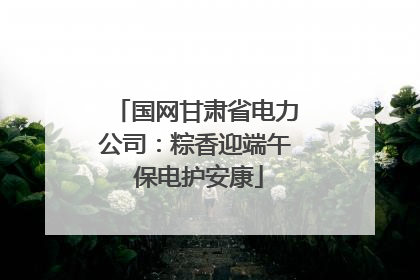 国网甘肃省电力公司：粽香迎端午 保电护安康