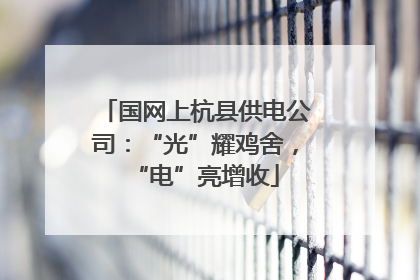 国网上杭县供电公司：“光”耀鸡舍，“电”亮增收