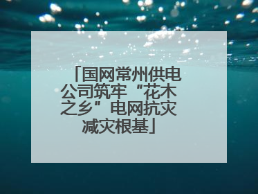 国网常州供电公司筑牢“花木之乡”电网抗灾减灾根基