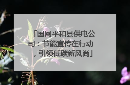 国网平和县供电公司：节能宣传在行动，引领低碳新风尚