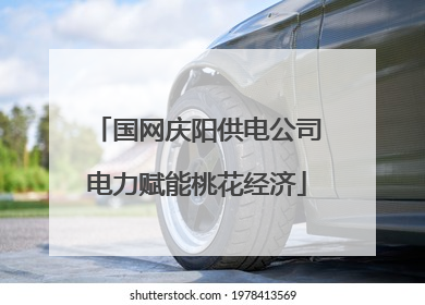 国网庆阳供电公司电力赋能桃花经济