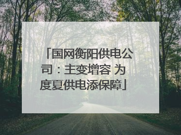 国网衡阳供电公司：主变增容 为度夏供电添保障