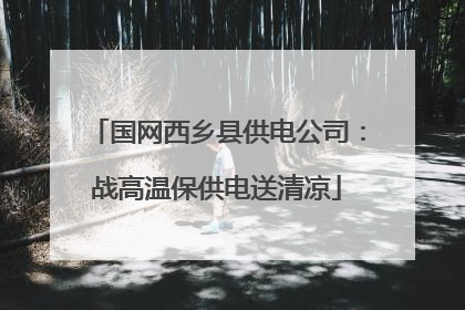 国网西乡县供电公司：战高温保供电送清凉