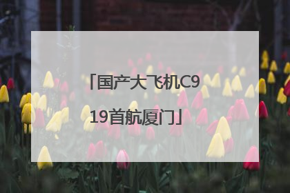 国产大飞机C919首航厦门