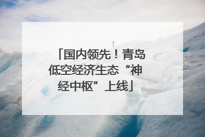国内领先！青岛低空经济生态“神经中枢”上线