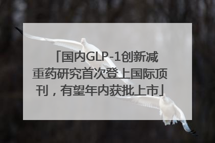国内GLP-1创新减重药研究首次登上国际顶刊，有望年内获批上市