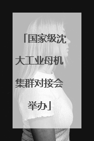 国家级沈大工业母机集群对接会举办