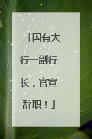 国有大行一副行长，官宣辞职！
