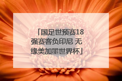 国足世预赛18强赛客负印尼 无缘美加墨世界杯
