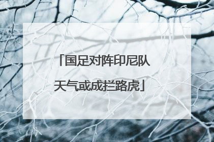 国足对阵印尼队 天气或成拦路虎