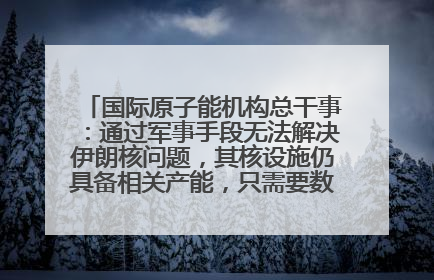 国际原子能机构总干事：通过军事手段无法解决伊朗核问题，其核设施仍具备相关产能，只需要数月就能生产出浓缩铀