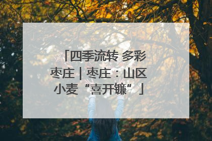 四季流转 多彩枣庄｜枣庄：山区小麦“喜开镰”