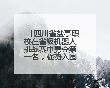 四川省盐亭职校在省级机器人挑战赛中勇夺第一名，强势入围国赛！