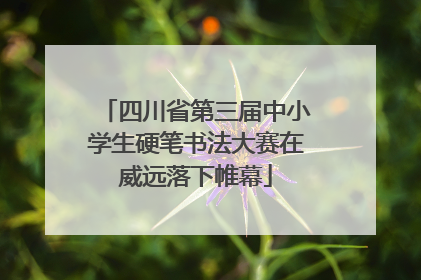 四川省第三届中小学生硬笔书法大赛在威远落下帷幕