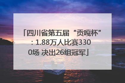 四川省第五届“贡嘎杯”：1.88万人比赛3300场 决出26组冠军