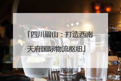 四川眉山：打造西南天府国际物流枢纽