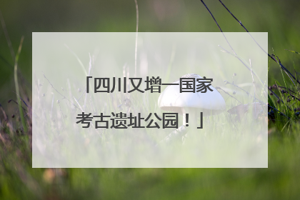 四川又增一国家考古遗址公园！